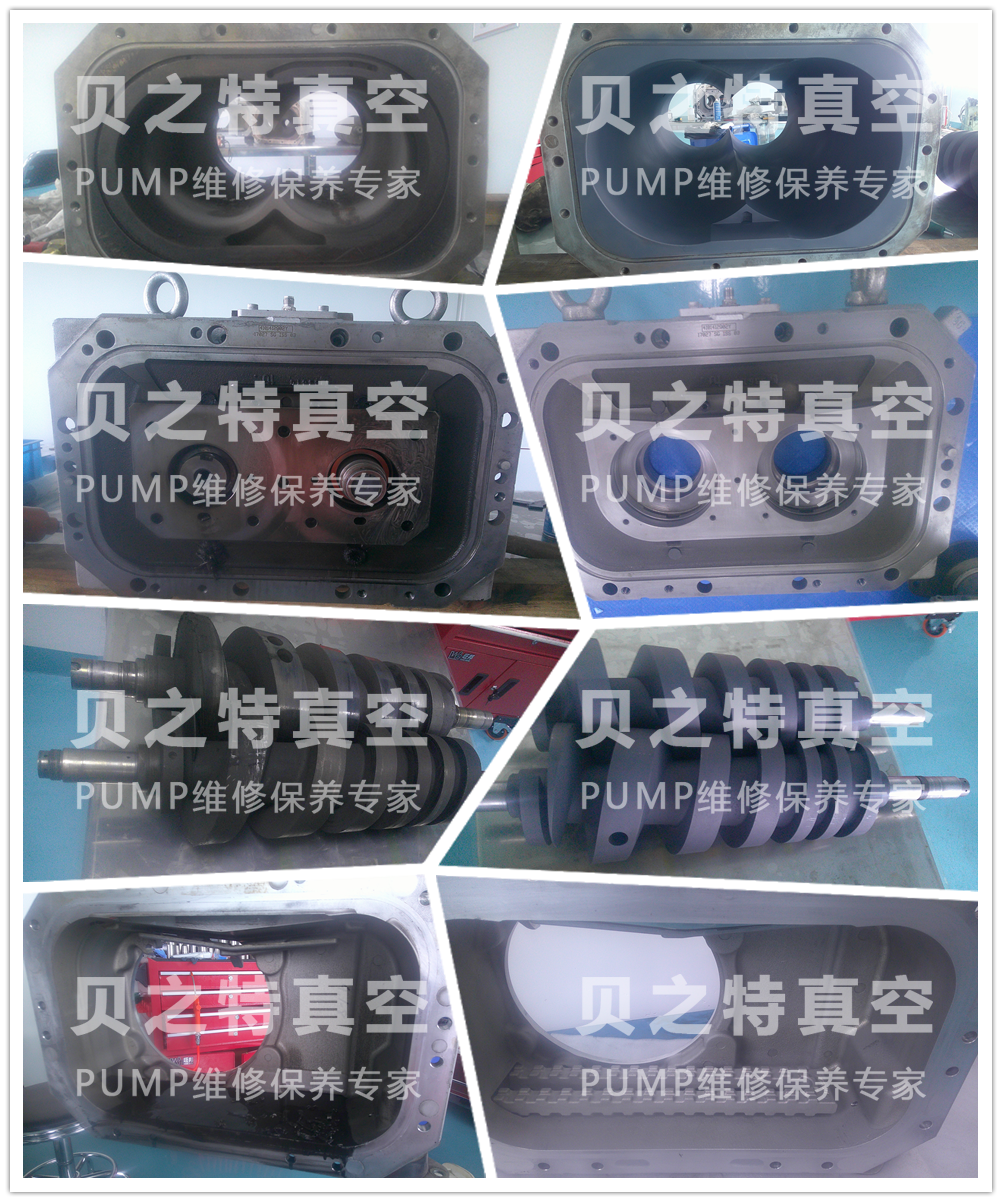 Edwards愛德華干泵GXS750維修圖