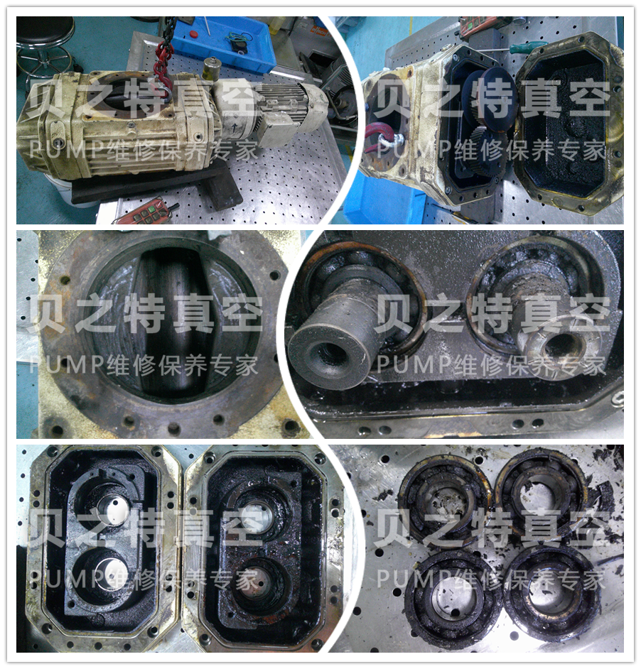 普旭羅茨泵WP0500維修保養(yǎng)