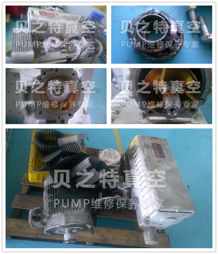 上海SV300B萊寶真空泵故障維修保養