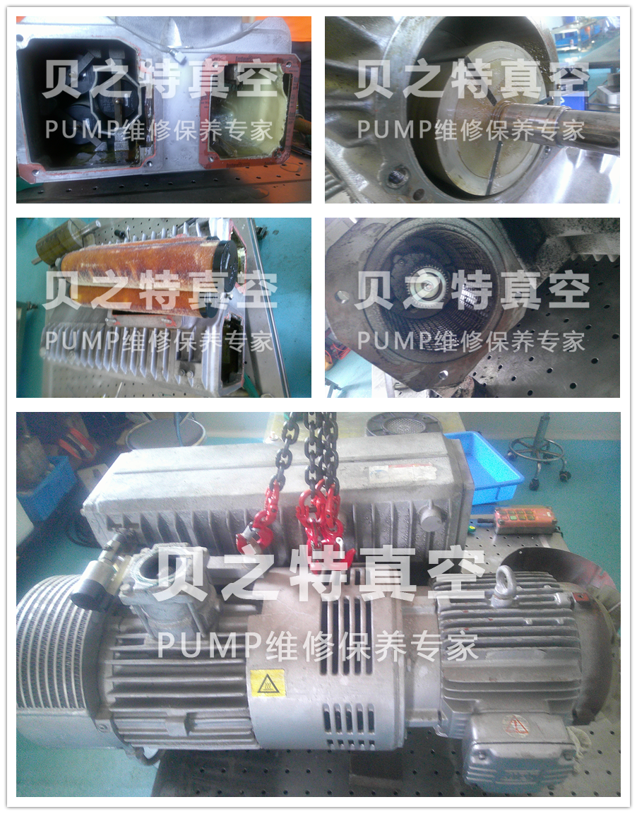 普旭旋片式真空泵RA0302d維修保養